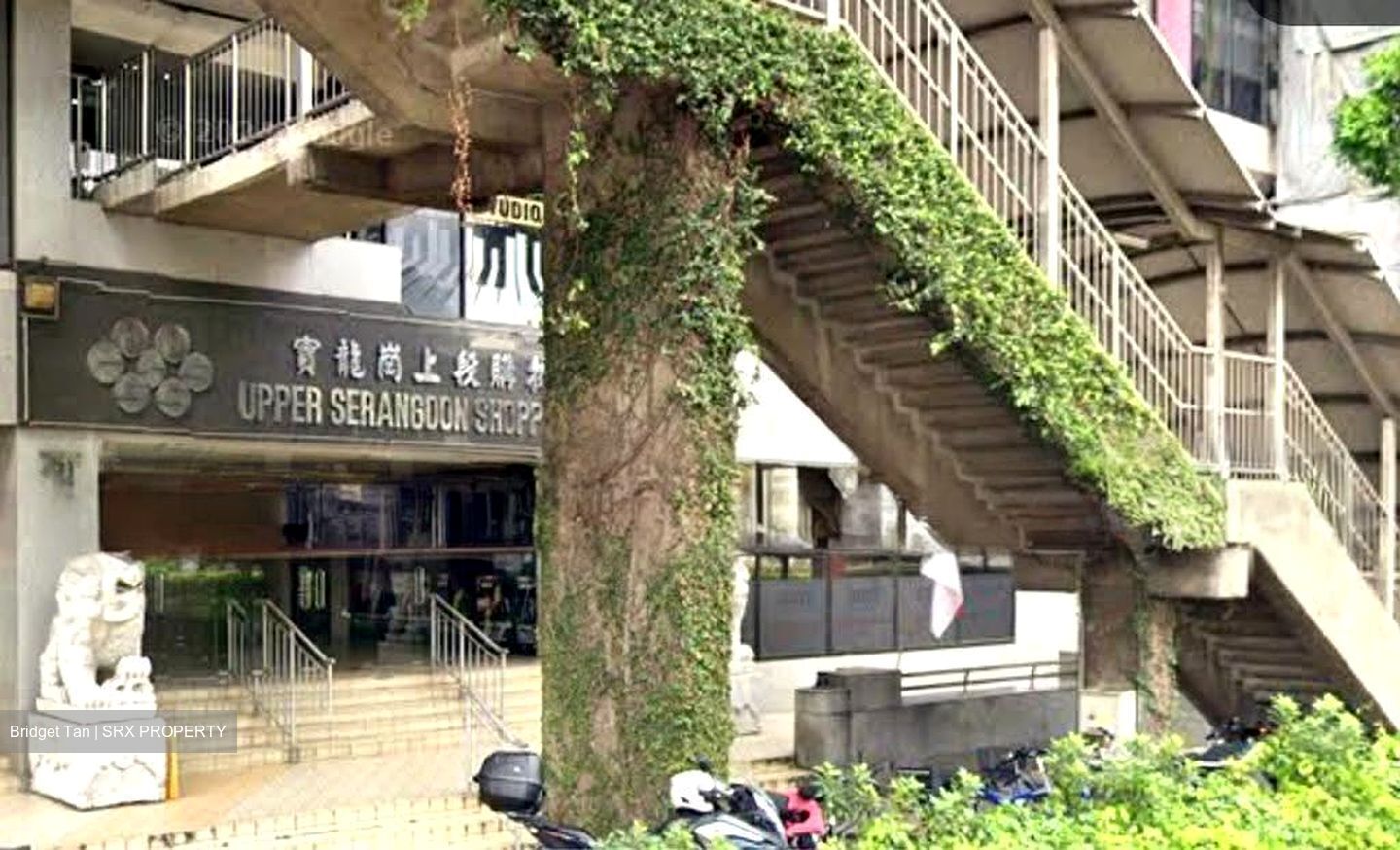Upper Serangoon Shopping Centre (D19), Shop House #624913771